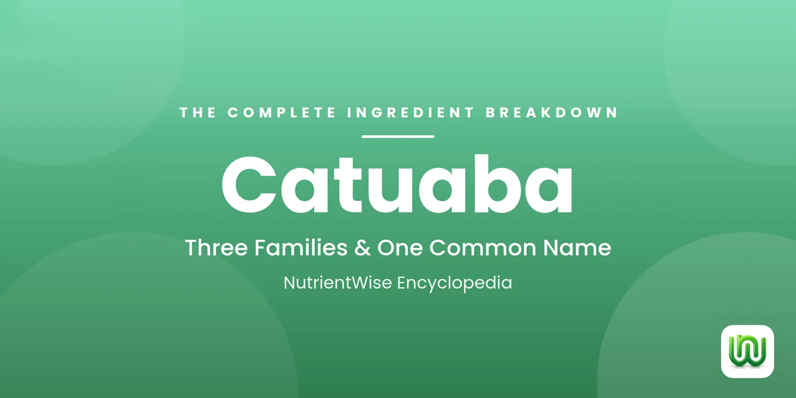 Catuaba: The Complete Ingredient Breakdown