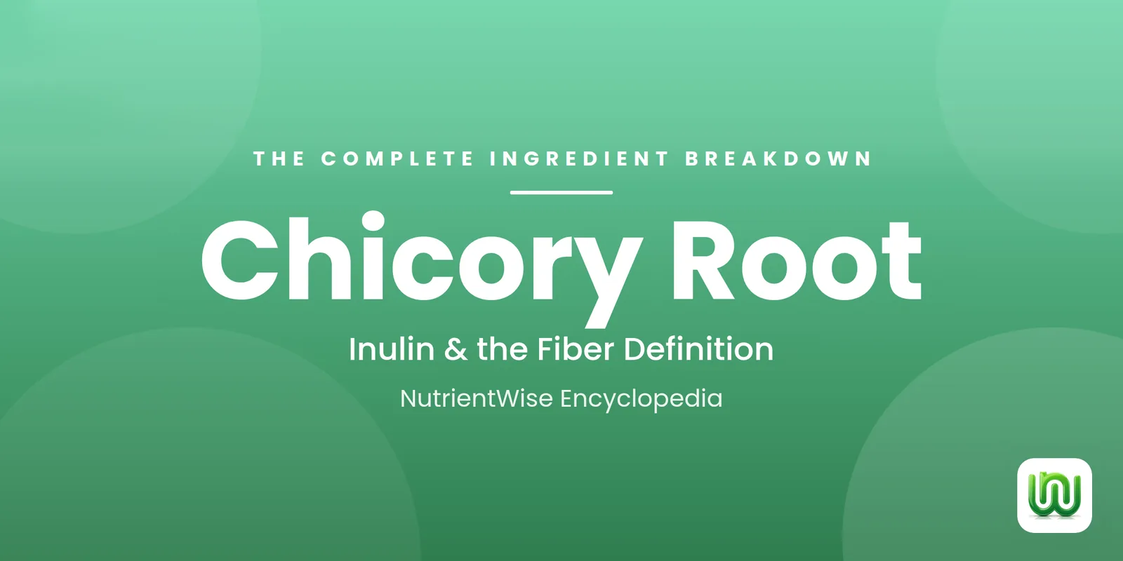 Chicory Root: The Complete Ingredient Breakdown